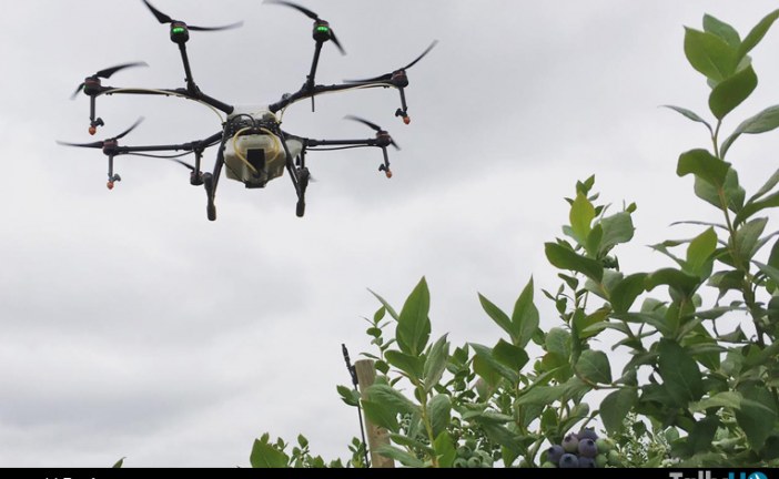 Ecodrones primera empresa chilena de drones en obtener Certificación de Operador Aéreo