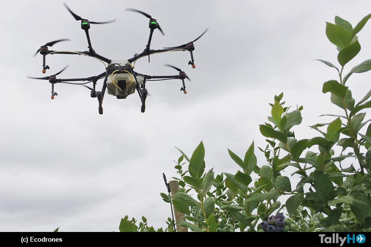 Ecodrones primera empresa chilena de drones en obtener Certificación de Operador Aéreo