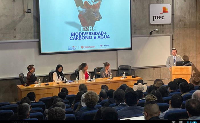 Mercados de carbono y mitigación del cambio climático: Expertos analizan y proponen soluciones para Chile y la región