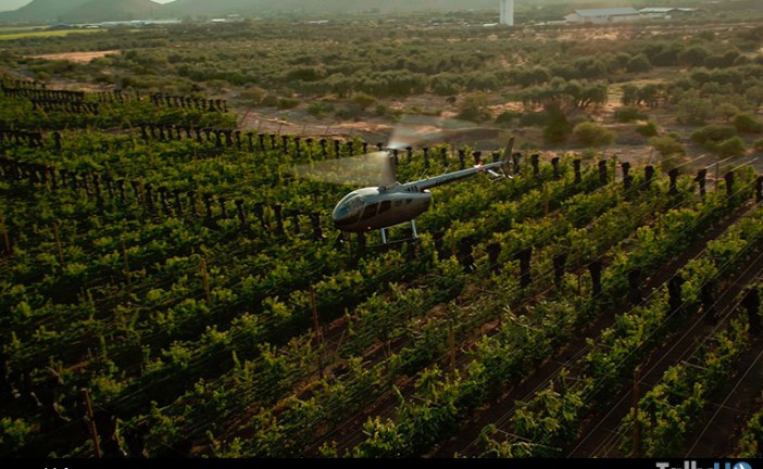 Robinson R66 de Aerotoscana aplicando innovación en la Agricultura Chilena