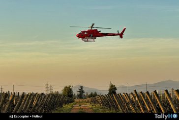 Ecocopter by Helisul despliega su flota de helicópteros para proteger los viñedos chilenos de las heladas