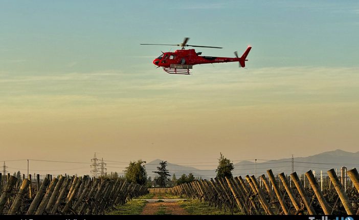 Ecocopter by Helisul despliega su flota de helicópteros para proteger los viñedos chilenos de las heladas