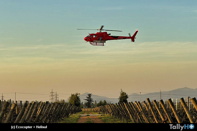 Ecocopter by Helisul despliega su flota de helicópteros para proteger los viñedos chilenos de las heladas