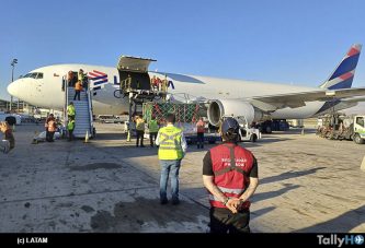 Rinoceronte blanco nacido en Chile se traslada con LATAM a Brasil para su conservación