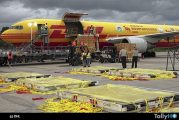 Conoce cuáles fueron las entregas más inusuales de DHL en 2025