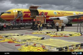 Conoce cuáles fueron las entregas más inusuales de DHL en 2025