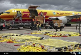 Conoce cuáles fueron las entregas más inusuales de DHL en 2025