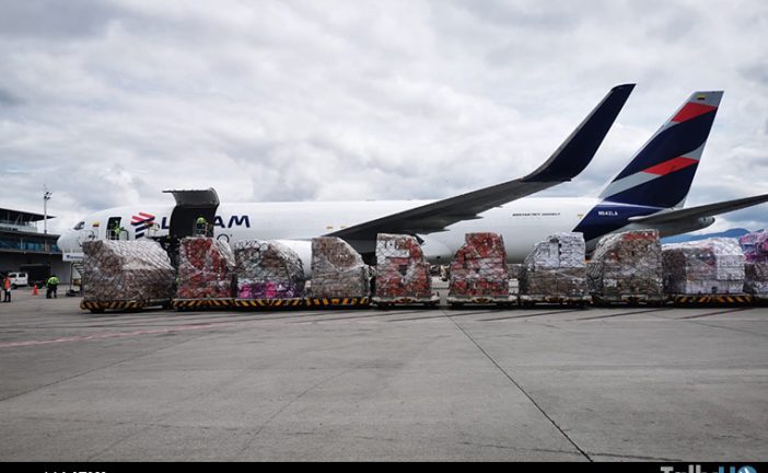 Por cuarto año consecutivo: Grupo LATAM encabeza el envío aéreo de flores hacia Estados Unidos durante San Valentín