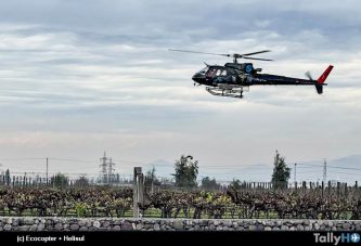 Cuidado de viñedos a través de helicópteros (control de heladas)