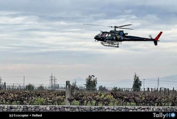 Cuidado de viñedos a través de helicópteros (control de heladas)